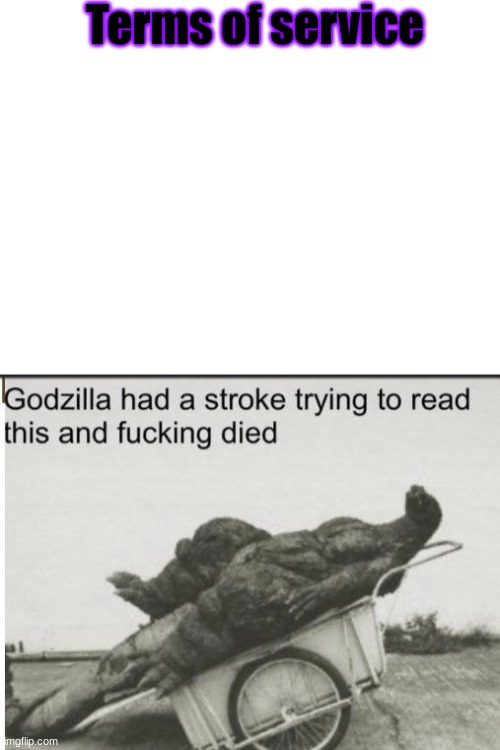 Terms of service | image tagged in blank white template,godzilla | made w/ Imgflip meme maker