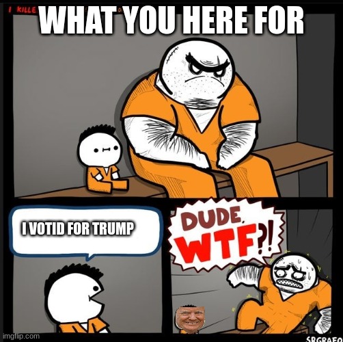 BRO WTF?! | WHAT YOU HERE FOR; I VOTID FOR TRUMP | image tagged in bro wtf | made w/ Imgflip meme maker