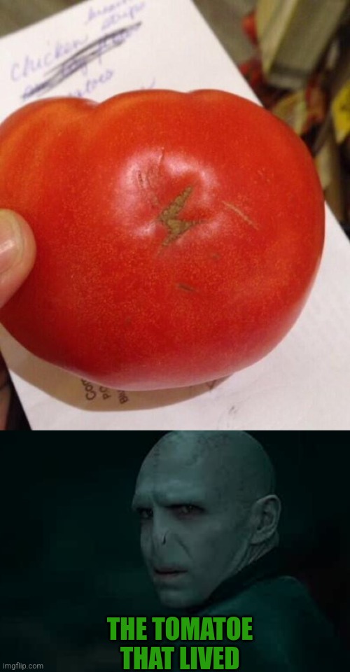 THE TOMATOE
THAT LIVED | image tagged in harry potter,tomatoes,voldemort | made w/ Imgflip meme maker