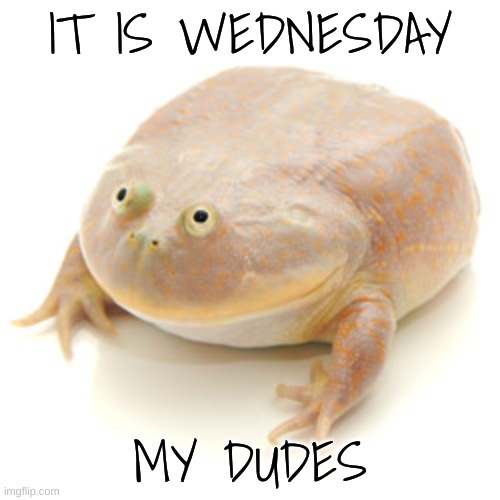 Almost forgot- | IT IS WEDNESDAY; MY DUDES | image tagged in it is wednesday my dudes | made w/ Imgflip meme maker