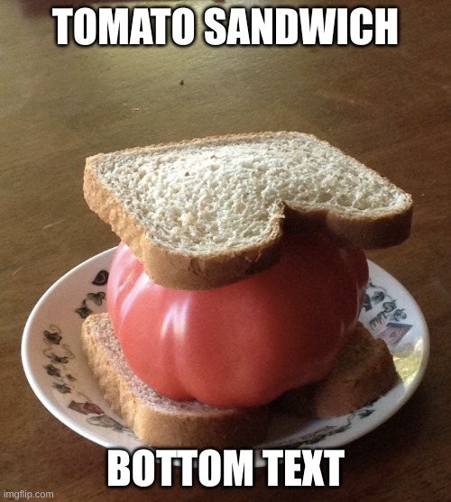 yum | TOMATO SANDWICH; BOTTOM TEXT | image tagged in tomato sandwich | made w/ Imgflip meme maker