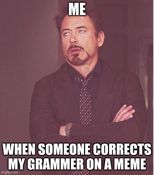 Face You Make Robert Downey Jr | ME; WHEN SOMEONE CORRECTS MY GRAMMER ON A MEME | image tagged in memes,face you make robert downey jr | made w/ Imgflip meme maker