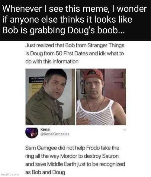 Samwise Gamgee | image tagged in lord of the rings,lotr,stranger things,tolkien | made w/ Imgflip meme maker
