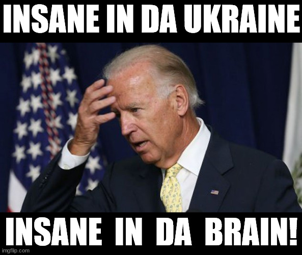 Insane in the Membrane | INSANE IN DA UKRAINE; INSANE  IN  DA  BRAIN! | image tagged in joe biden worries,memes,ukraine,first world problems,insane clown posse,shut up and take my money | made w/ Imgflip meme maker