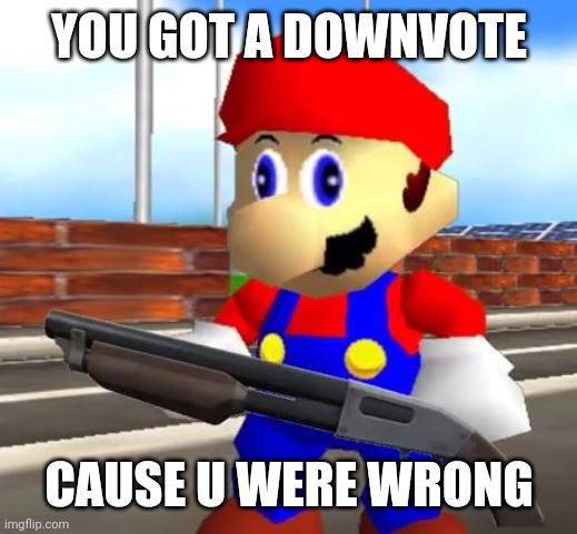 SMG4 Shotgun Mario | YOU GOT A DOWNVOTE CAUSE U WERE WRONG | image tagged in smg4 shotgun mario | made w/ Imgflip meme maker