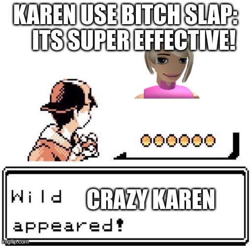 Blank Wild Pokemon Appears | KAREN USE BITCH SLAP:     ITS SUPER EFFECTIVE! CRAZY KAREN | image tagged in blank wild pokemon appears | made w/ Imgflip meme maker