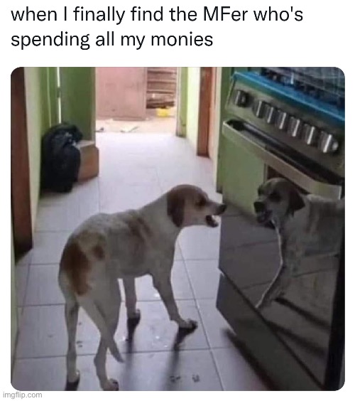image tagged in dogs,money,repost,funny,memes,relatable memes | made w/ Imgflip meme maker