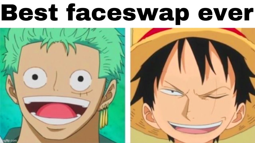 the one piece is real | image tagged in luffy zoro faceswap | made w/ Imgflip meme maker