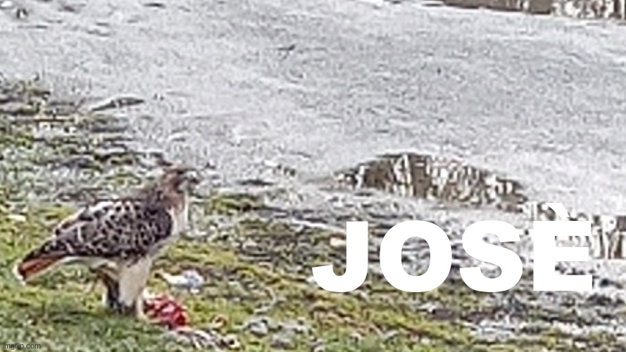 jose | image tagged in jose | made w/ Imgflip meme maker