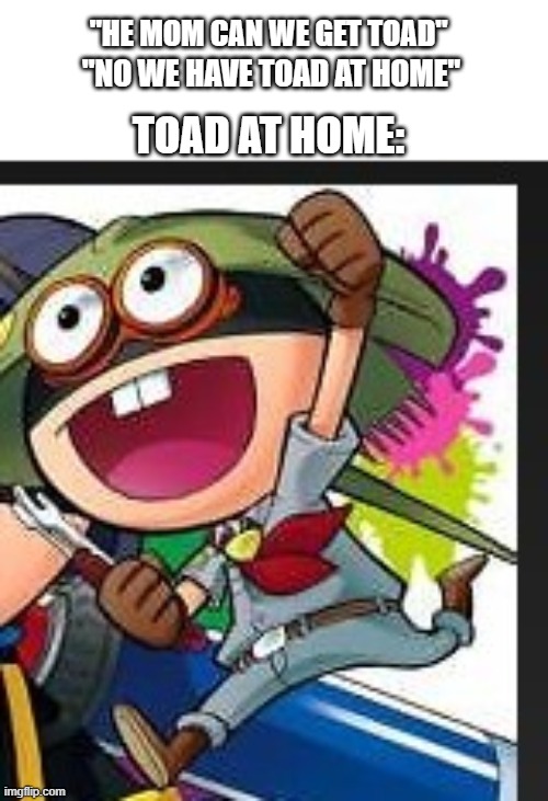 Dollar tree toad | "HE MOM CAN WE GET TOAD"; "NO WE HAVE TOAD AT HOME"; TOAD AT HOME: | image tagged in toad,mario | made w/ Imgflip meme maker