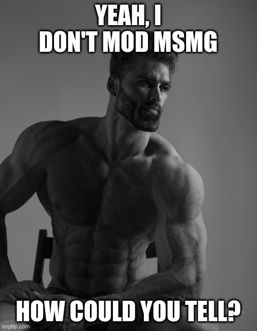 Giga Chad | YEAH, I DON'T MOD MSMG HOW COULD YOU TELL? | image tagged in giga chad | made w/ Imgflip meme maker