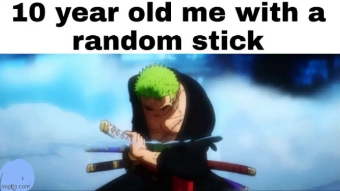 i still do this | image tagged in zoro stick | made w/ Imgflip meme maker