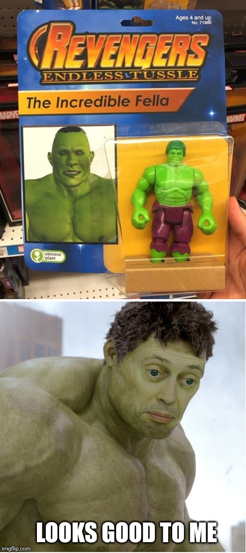 INCREDIBLE FELLA | LOOKS GOOD TO ME | image tagged in hulk angry then realizes he's wrong,hulk,fake,wtf,fail | made w/ Imgflip meme maker