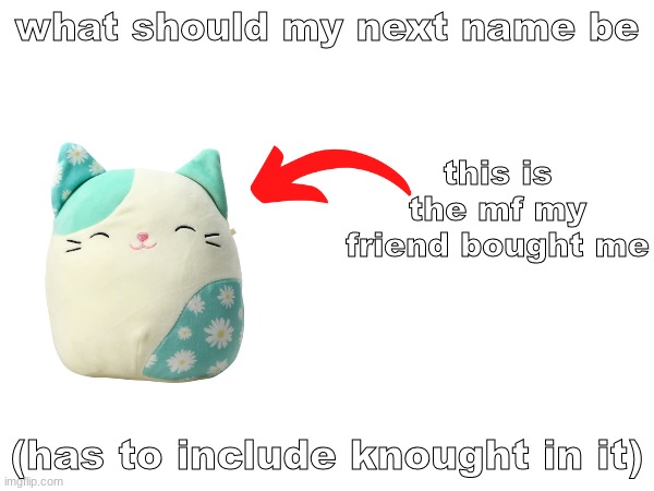 i feel quite deranged | what should my next name be; this is the mf my friend bought me; (has to include knought in it) | made w/ Imgflip meme maker