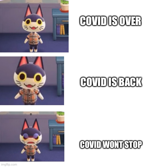 Punchy Wants Covid-19 to stop | COVID IS OVER; COVID IS BACK; COVID WONT STOP | image tagged in covid 19,meme,punchy,animal crossing | made w/ Imgflip meme maker