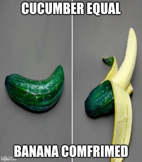 CUCUMBER EQUAL; BANANA COMFRIMED | image tagged in funny memes,good memes | made w/ Imgflip meme maker