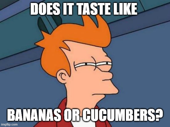 Futurama Fry Meme | DOES IT TASTE LIKE BANANAS OR CUCUMBERS? | image tagged in memes,futurama fry | made w/ Imgflip meme maker