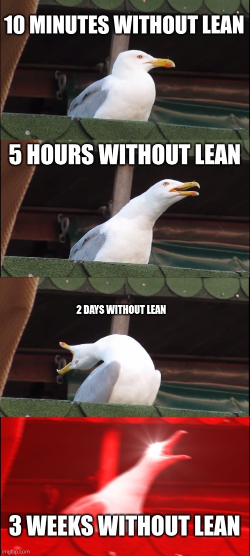 i wonder how long shin godiler can survive with no lean | 10 MINUTES WITHOUT LEAN; 5 HOURS WITHOUT LEAN; 2 DAYS WITHOUT LEAN; 3 WEEKS WITHOUT LEAN | image tagged in memes,inhaling seagull | made w/ Imgflip meme maker