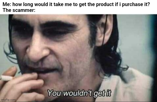 You wouldn't get it | Me: how long would it take me to get the product if i purchase it?
The scammer: | image tagged in you wouldn't get it | made w/ Imgflip meme maker