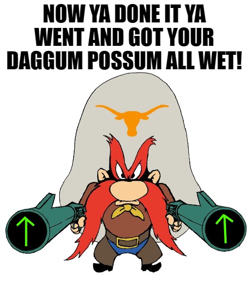 NOW YA DONE IT YA WENT AND GOT YOUR DAGGUM POSSUM ALL WET! | image tagged in sam | made w/ Imgflip meme maker