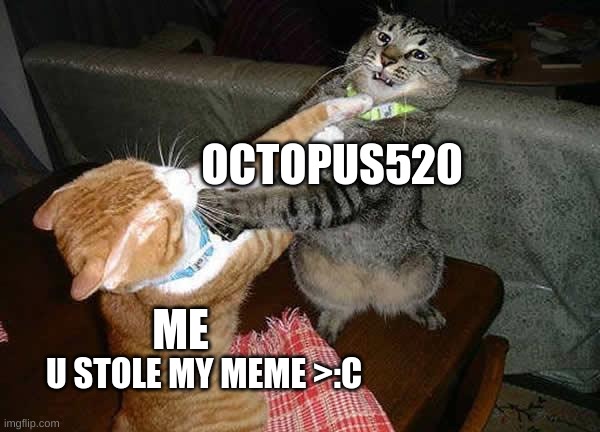 :C | OCTOPUS520; ME; U STOLE MY MEME >:C | image tagged in two cats fighting for real | made w/ Imgflip meme maker