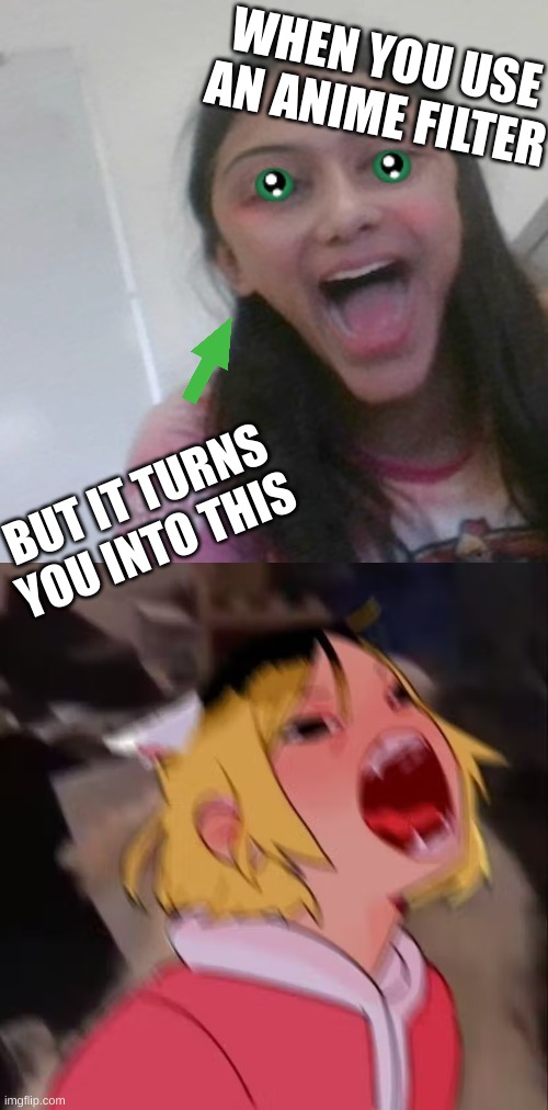 Why me... | WHEN YOU USE AN ANIME FILTER; BUT IT TURNS YOU INTO THIS | image tagged in anime meme | made w/ Imgflip meme maker