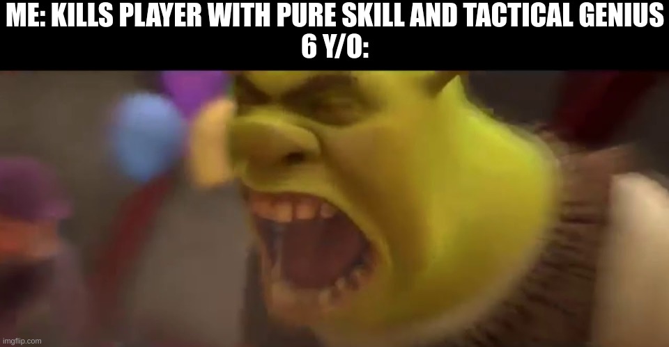 Shrek Screaming | ME: KILLS PLAYER WITH PURE SKILL AND TACTICAL GENIUS
6 Y/O: | image tagged in shrek screaming | made w/ Imgflip meme maker