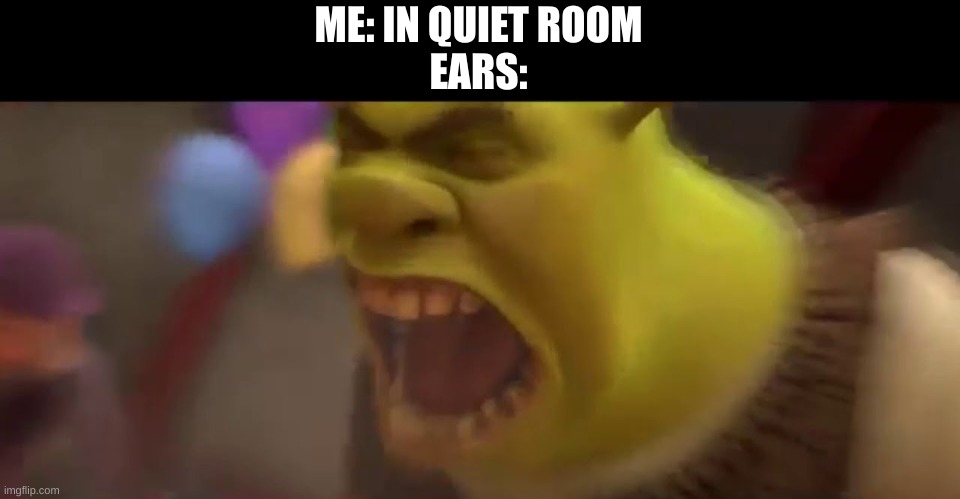 why is it like this tho | ME: IN QUIET ROOM
EARS: | image tagged in shrek screaming | made w/ Imgflip meme maker