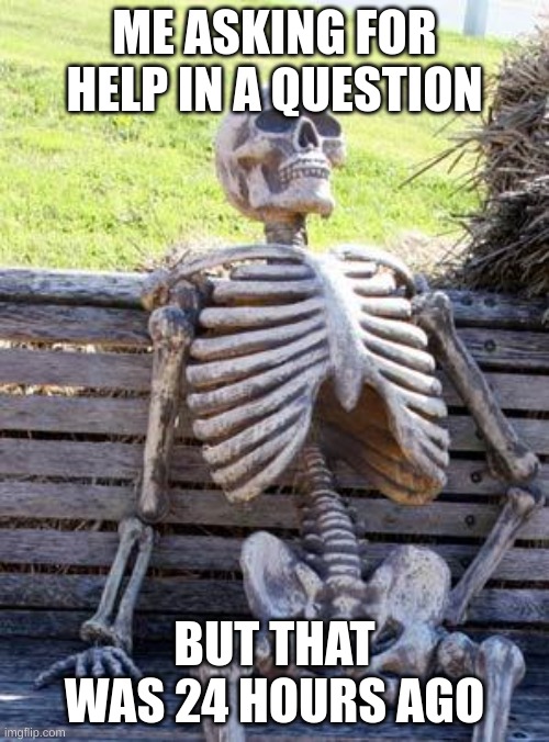 Waiting Skeleton | ME ASKING FOR HELP IN A QUESTION; BUT THAT WAS 24 HOURS AGO | image tagged in memes,waiting skeleton | made w/ Imgflip meme maker