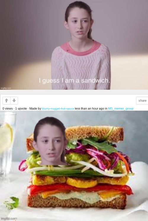 sandwich girl | made w/ Imgflip meme maker