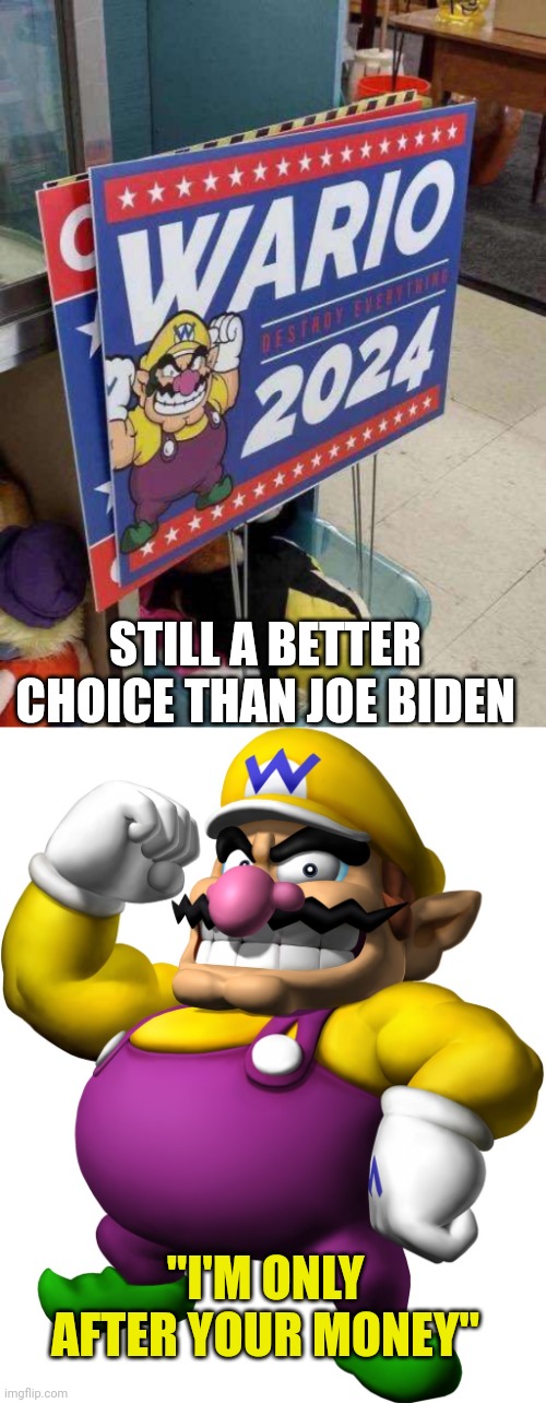 YOU WON'T SEE WARIO SNIFFING LITTLE CHILDREN | STILL A BETTER CHOICE THAN JOE BIDEN; "I'M ONLY AFTER YOUR MONEY" | image tagged in wario,joe biden,2024,election,politics | made w/ Imgflip meme maker