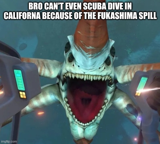 Can’t even swim in Ohio | BRO CAN'T EVEN SCUBA DIVE IN CALIFORNA BECAUSE OF THE FUKASHIMA SPILL | image tagged in can t even swim in ohio | made w/ Imgflip meme maker
