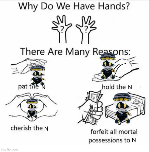 Why do we have hands? (all blank) | N; N; N; N | image tagged in why do we have hands all blank,murder,murder drones,n | made w/ Imgflip meme maker