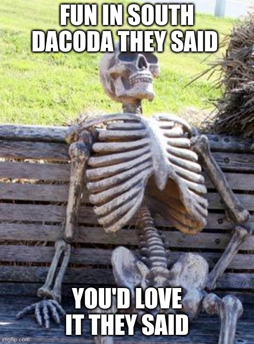 ha so much fun | FUN IN SOUTH DACODA THEY SAID; YOU'D LOVE IT THEY SAID | image tagged in memes,waiting skeleton | made w/ Imgflip meme maker