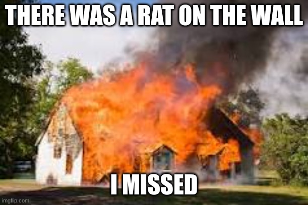 burned down house | THERE WAS A RAT ON THE WALL; I MISSED | image tagged in house | made w/ Imgflip meme maker