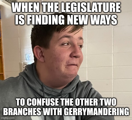 gerrrrrryyyyyyy | WHEN THE LEGISLATURE IS FINDING NEW WAYS; TO CONFUSE THE OTHER TWO BRANCHES WITH GERRYMANDERING | image tagged in bad luck brian | made w/ Imgflip meme maker