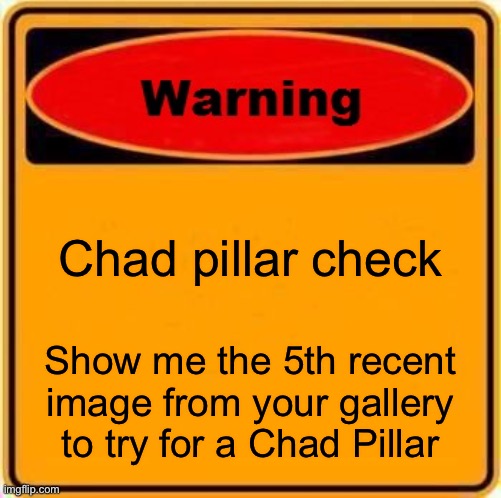 Chad Pillars will vary, you may not recieve award if certain (unbased) elements are present | Chad pillar check; Show me the 5th recent image from your gallery to try for a Chad Pillar | image tagged in memes,warning sign,balls,chad | made w/ Imgflip meme maker