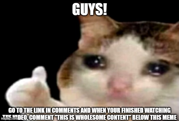 That is wholesome | GUYS! GO TO THE LINK IN COMMENTS AND WHEN YOUR FINISHED WATCHING THE VIDEO, COMMENT "THIS IS WHOLESOME CONTENT" BELOW THIS MEME | image tagged in sad cat thumbs up,memes | made w/ Imgflip meme maker