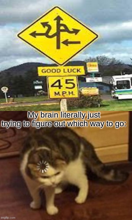 literally 5 different ways you can go | My brain literally just trying to figure out which way to go: | image tagged in loading cat,funny,memes,you-had-one-job | made w/ Imgflip meme maker