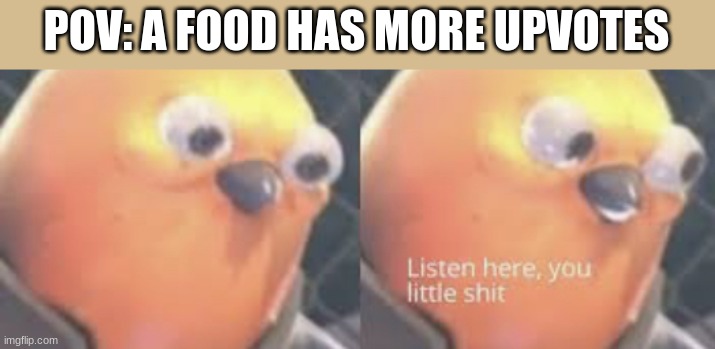 Listen here you little shit bird | POV: A FOOD HAS MORE UPVOTES | image tagged in listen here you little shit bird | made w/ Imgflip meme maker