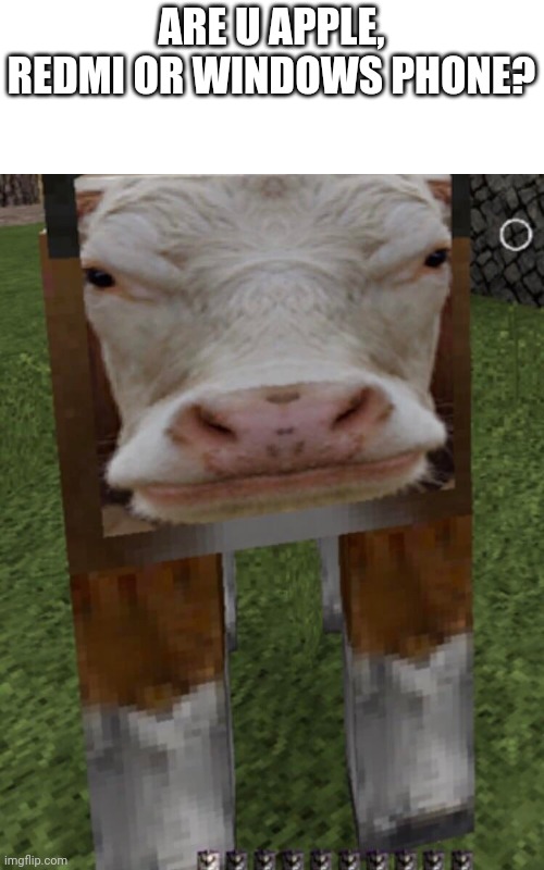 ARE U APPLE, REDMI OR WINDOWS PHONE? | made w/ Imgflip meme maker