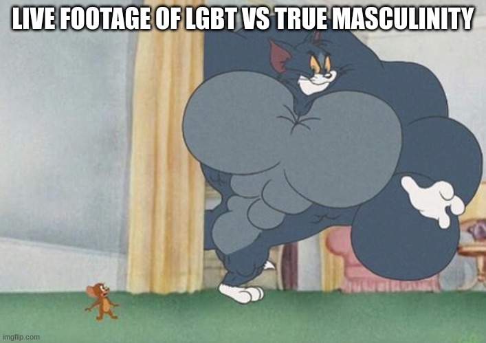 tom and jerry | LIVE FOOTAGE OF LGBT VS TRUE MASCULINITY | image tagged in tom and jerry | made w/ Imgflip meme maker