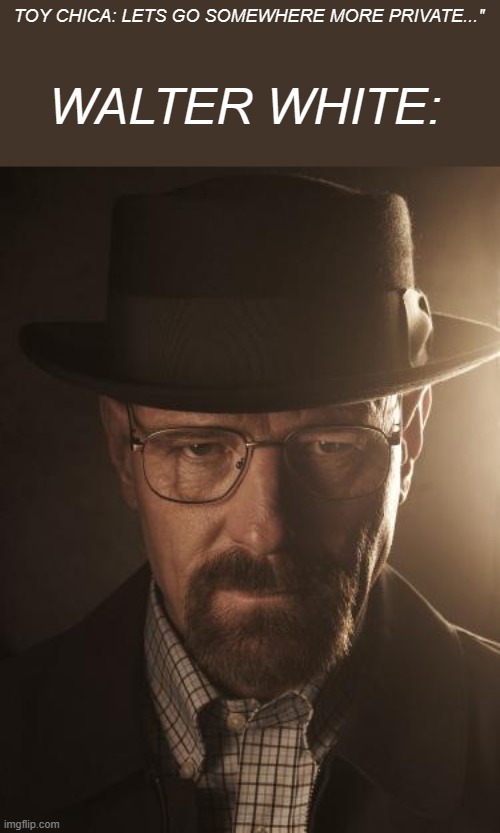 Walter White | TOY CHICA: LETS GO SOMEWHERE MORE PRIVATE..." WALTER WHITE: | image tagged in walter white | made w/ Imgflip meme maker