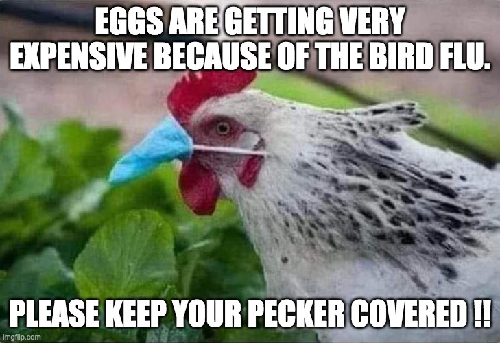 Bird Flu | EGGS ARE GETTING VERY EXPENSIVE BECAUSE OF THE BIRD FLU. PLEASE KEEP YOUR PECKER COVERED !! | image tagged in bird flu,chicken | made w/ Imgflip meme maker