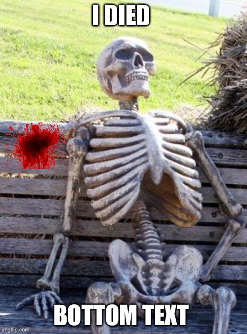 I think I’m ok | I DIED; BOTTOM TEXT | image tagged in memes,waiting skeleton,fun | made w/ Imgflip meme maker