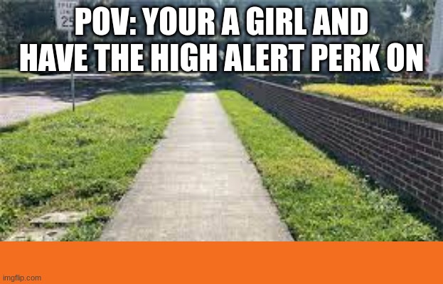 Modern Warfare | POV: YOUR A GIRL AND HAVE THE HIGH ALERT PERK ON | image tagged in pov | made w/ Imgflip meme maker