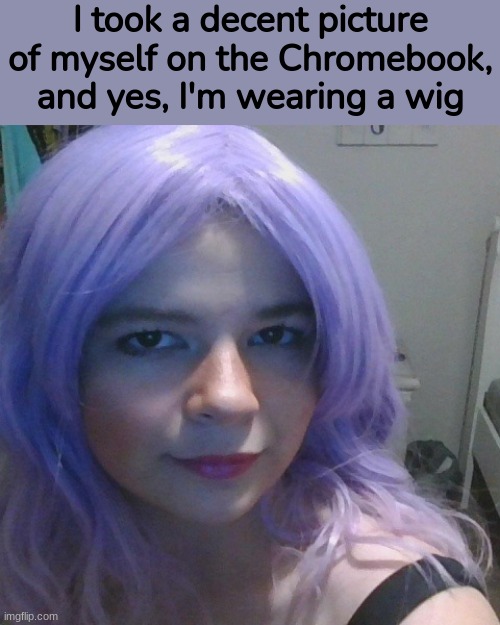 Yes, I am wearing a wig | I took a decent picture of myself on the Chromebook, and yes, I'm wearing a wig | made w/ Imgflip meme maker