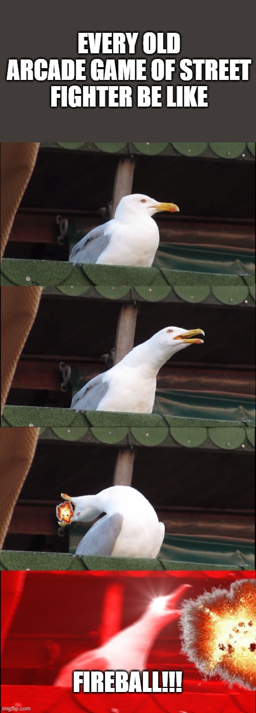 Inhaling Seagull Meme | EVERY OLD ARCADE GAME OF STREET FIGHTER BE LIKE; FIREBALL!!! | image tagged in memes,inhaling seagull | made w/ Imgflip meme maker