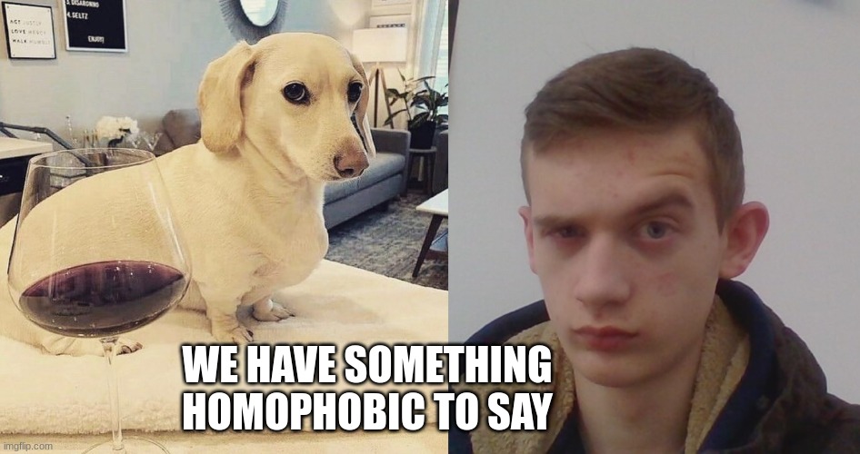 WE HAVE SOMETHING HOMOPHOBIC TO SAY | image tagged in homophobic dog,corrupt irl the rock eyebrow | made w/ Imgflip meme maker