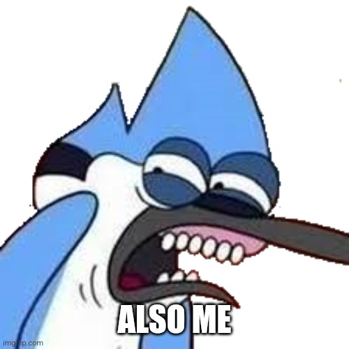 disgusted mordecai | ALSO ME | image tagged in disgusted mordecai | made w/ Imgflip meme maker